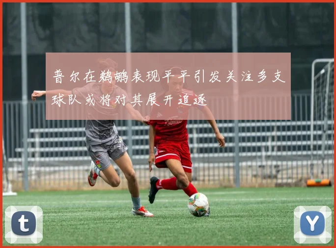 普尔在鹈鹕表现平平引发关注多支球队或将对其展开追逐