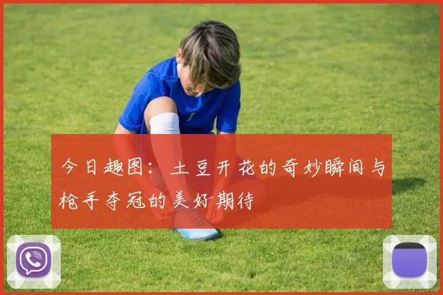 今日趣图：土豆开花的奇妙瞬间与枪手夺冠的美好期待