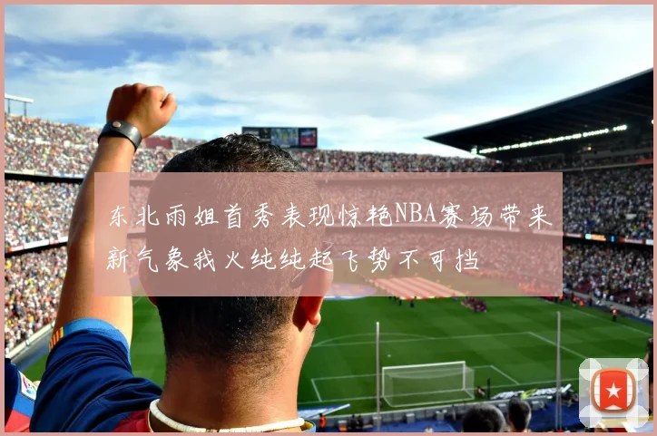 东北雨姐首秀表现惊艳NBA赛场带来新气象我火纯纯起飞势不可挡