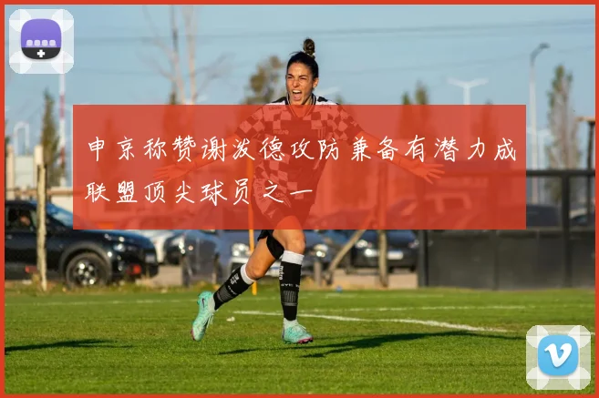 申京称赞谢泼德攻防兼备有潜力成联盟顶尖球员之一