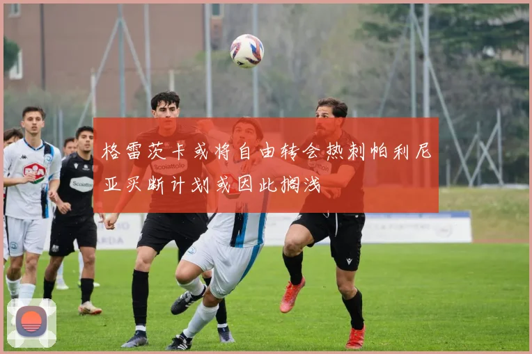 格雷茨卡或将自由转会热刺帕利尼亚买断计划或因此搁浅